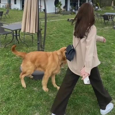 芝加哥急救第二季